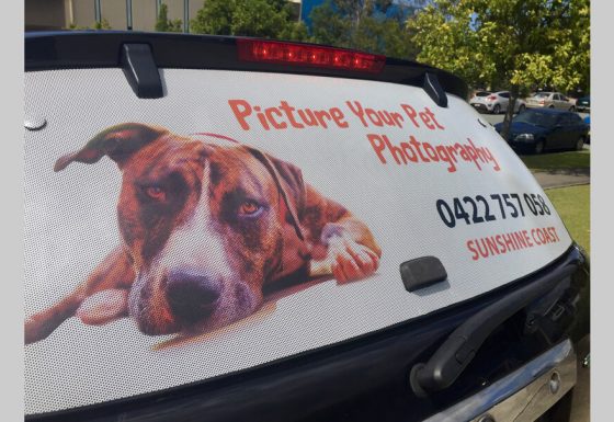 Rear Window One Way Vision