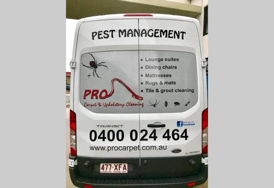 Rear Window One Way Vision